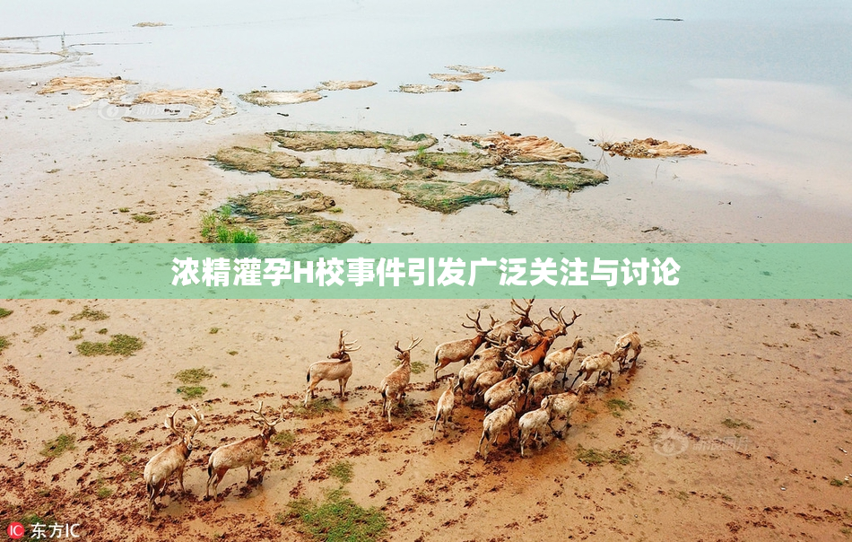 浓精灌孕H校事件引发广泛关注与讨论