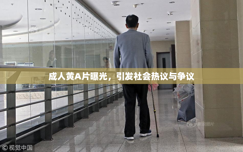 成人黄A片曝光，引发社会热议与争议