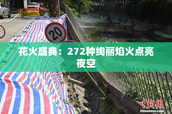花火盛典：272种绚丽焰火点亮夜空