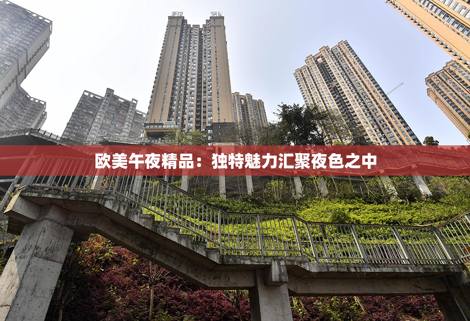 欧美午夜精品：独特魅力汇聚夜色之中