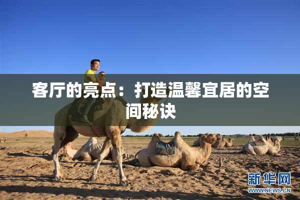 客厅的亮点：打造温馨宜居的空间秘诀