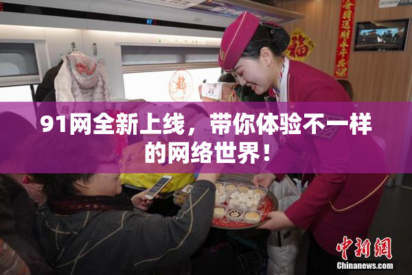 91网全新上线，带你体验不一样的网络世界！