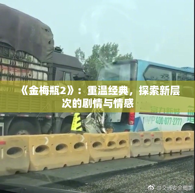 《金梅瓶2》：重温经典，探索新层次的剧情与情感