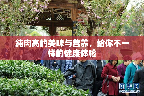 纯肉高的美味与营养，给你不一样的健康体验