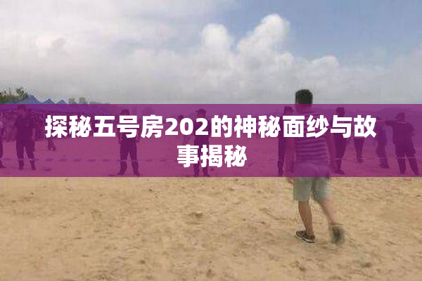 探秘五号房202的神秘面纱与故事揭秘