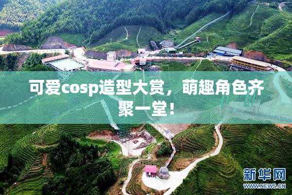 可爱cosp造型大赏，萌趣角色齐聚一堂！