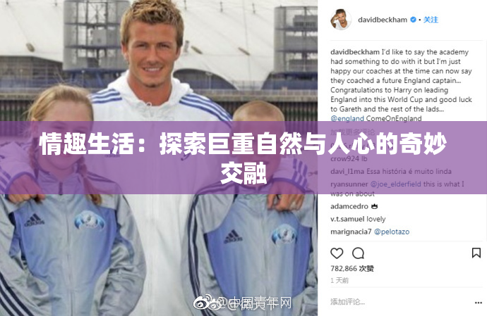 情趣生活：探索巨重自然与人心的奇妙交融