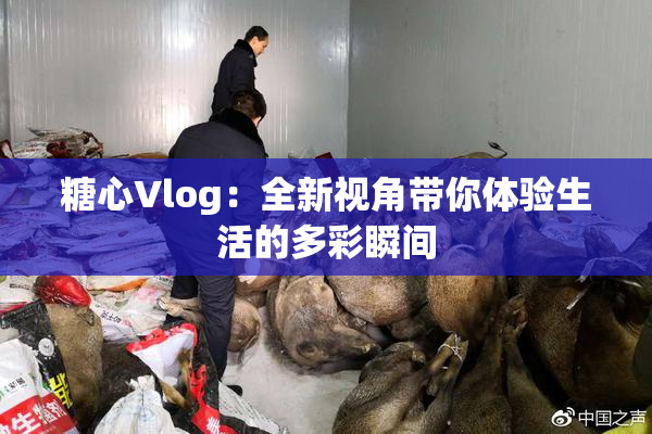 糖心Vlog：全新视角带你体验生活的多彩瞬间