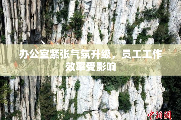 办公室紧张气氛升级，员工工作效率受影响
