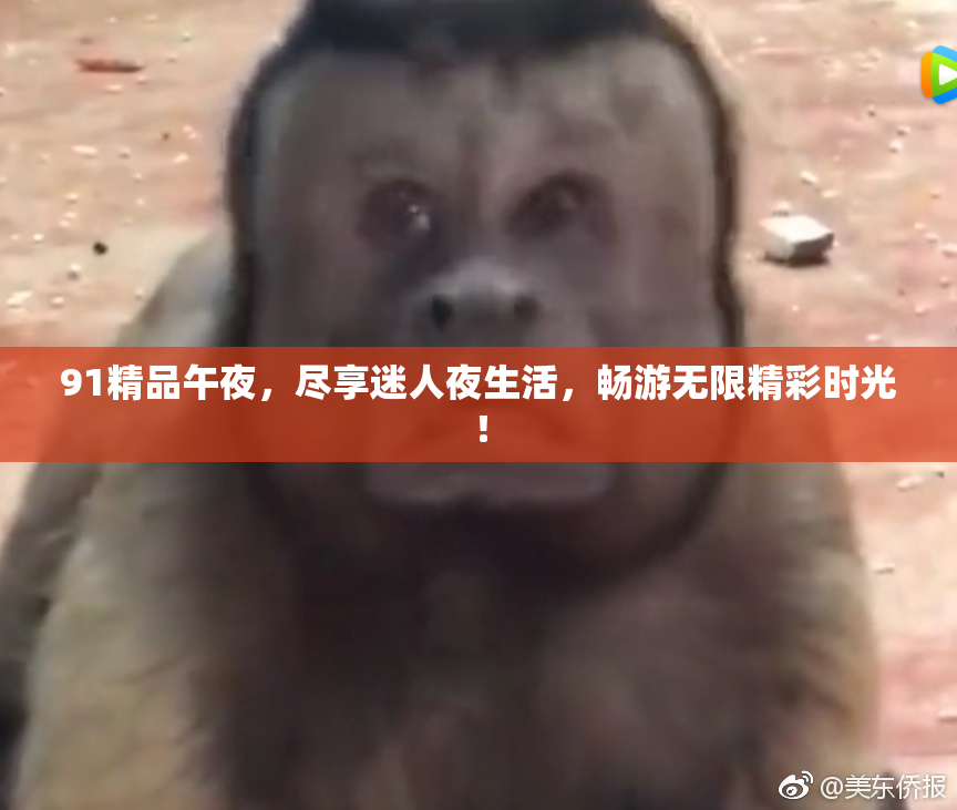 91精品午夜，尽享迷人夜生活，畅游无限精彩时光！