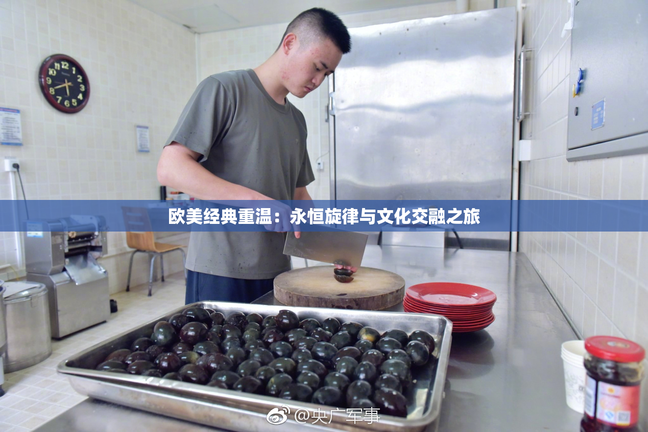 欧美经典重温：永恒旋律与文化交融之旅
