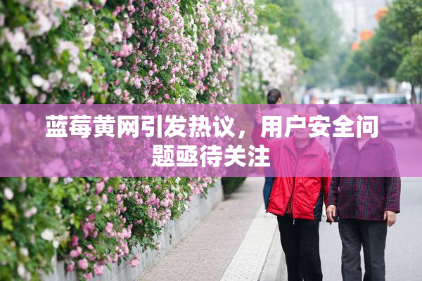 蓝莓黄网引发热议，用户安全问题亟待关注