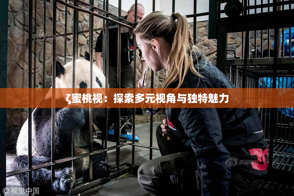ζ蜜桃视：探索多元视角与独特魅力