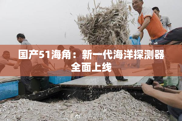 国产51海角：新一代海洋探测器全面上线