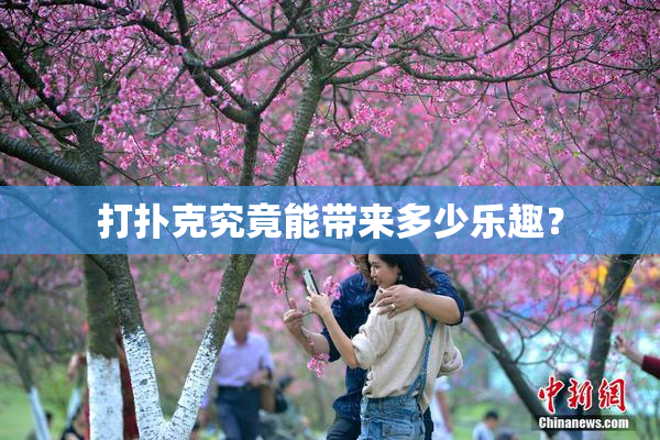 打扑克究竟能带来多少乐趣？