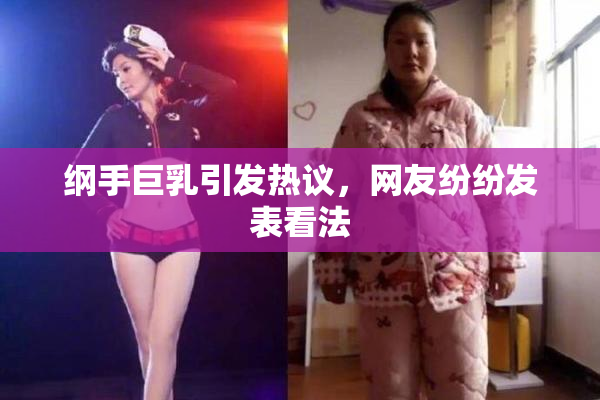 纲手巨乳引发热议，网友纷纷发表看法