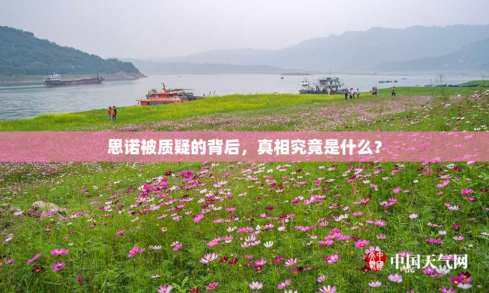 思诺被质疑的背后，真相究竟是什么？
