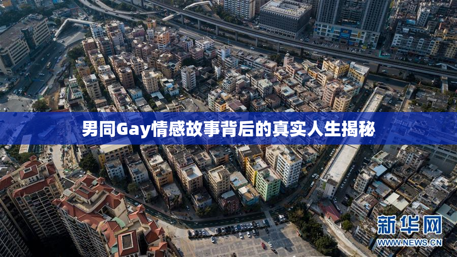 男同Gay情感故事背后的真实人生揭秘