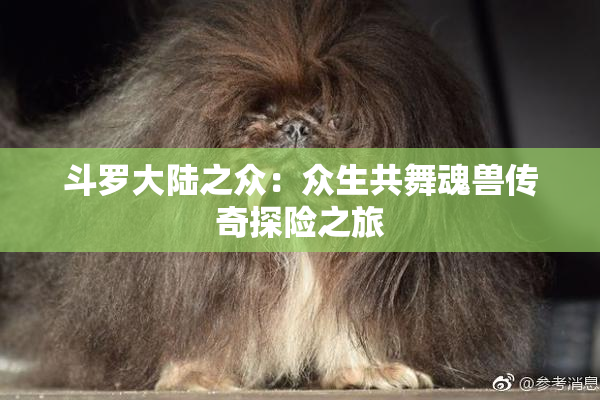 斗罗大陆之众：众生共舞魂兽传奇探险之旅