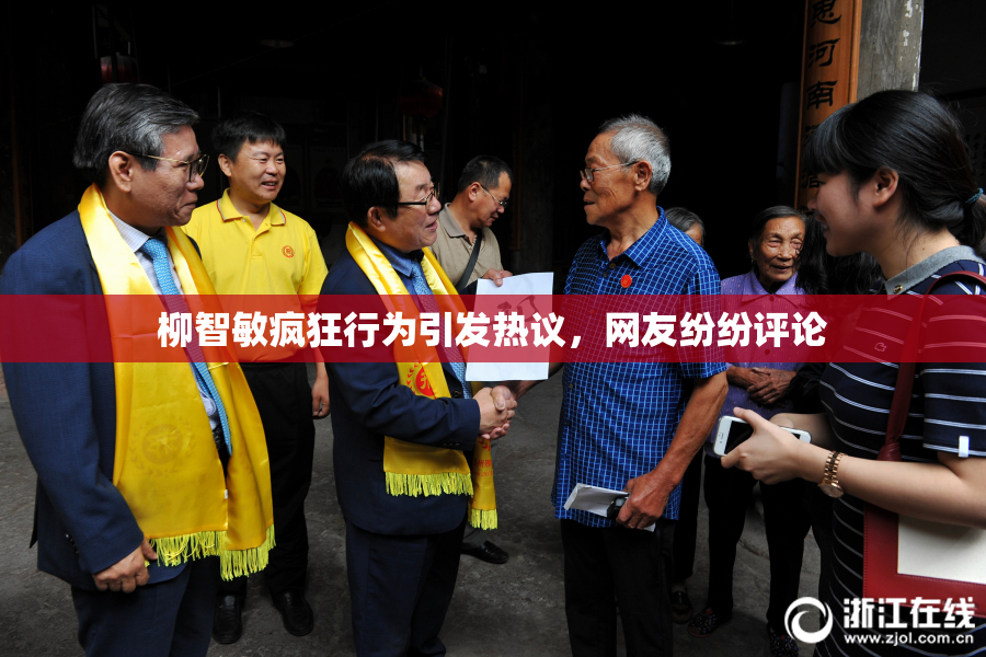 柳智敏疯狂行为引发热议，网友纷纷评论