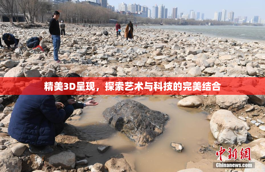 精美3D呈现，探索艺术与科技的完美结合