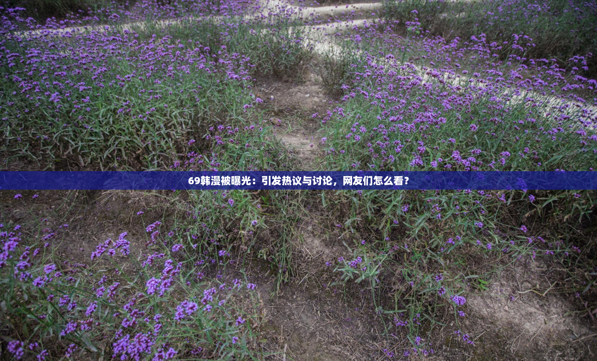 69韩漫被曝光：引发热议与讨论，网友们怎么看？