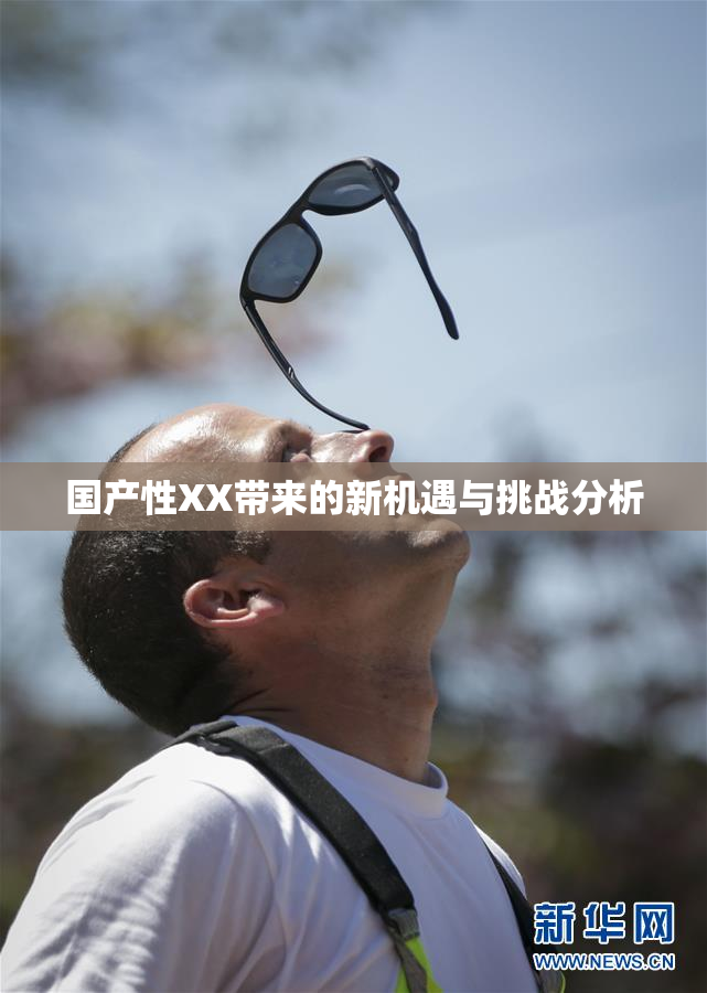 国产性XX带来的新机遇与挑战分析