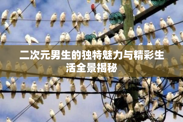 二次元男生的独特魅力与精彩生活全景揭秘