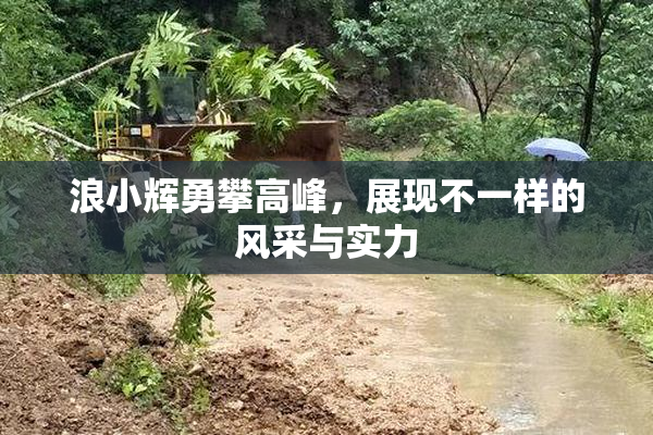 浪小辉勇攀高峰，展现不一样的风采与实力