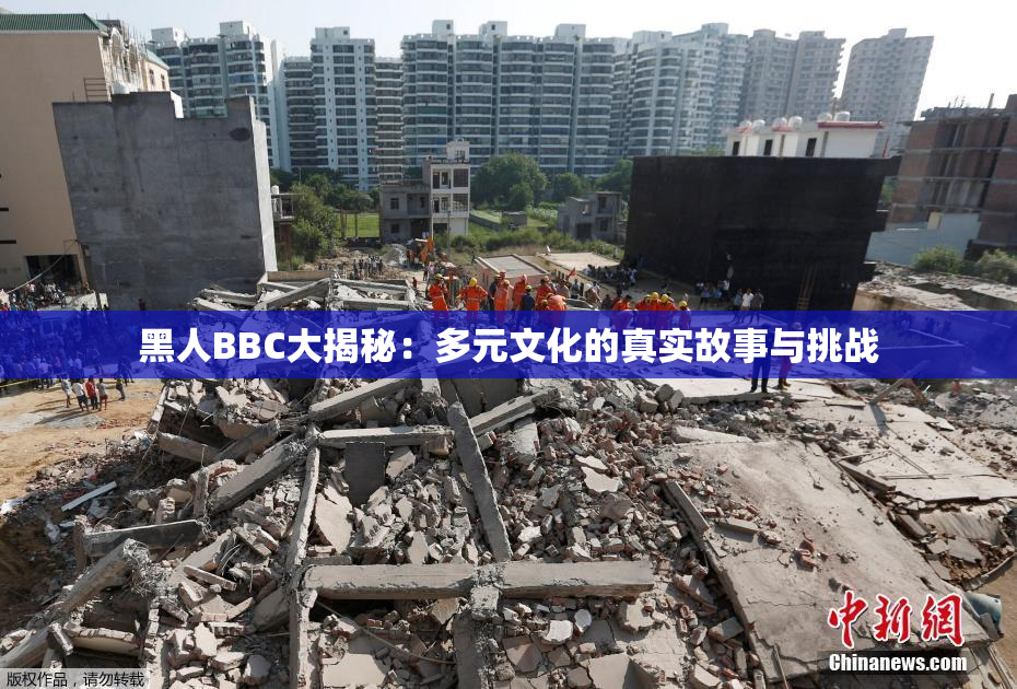 黑人BBC大揭秘：多元文化的真实故事与挑战