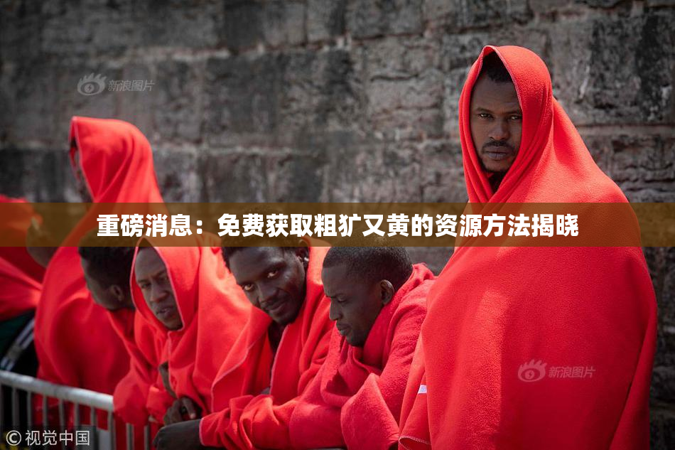 重磅消息：免费获取粗犷又黄的资源方法揭晓
