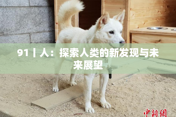 91丨人：探索人类的新发现与未来展望