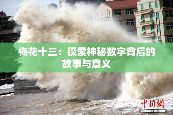 梅花十三：探索神秘数字背后的故事与意义