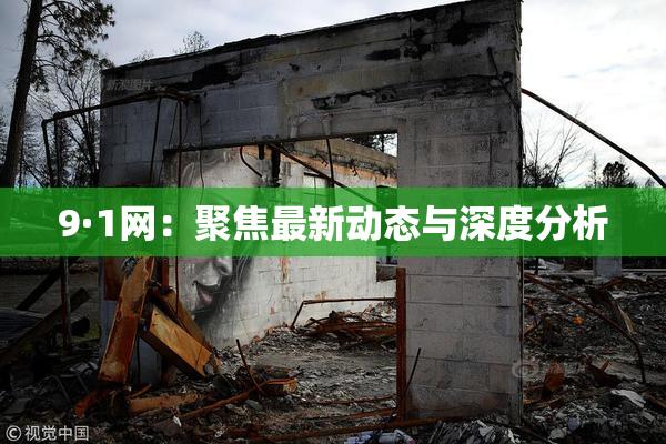 9·1网：聚焦最新动态与深度分析