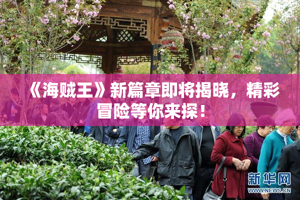 《海贼王》新篇章即将揭晓，精彩冒险等你来探！