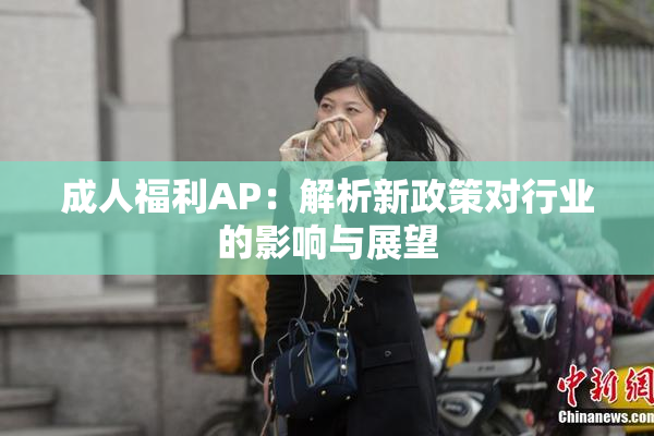成人福利AP：解析新政策对行业的影响与展望