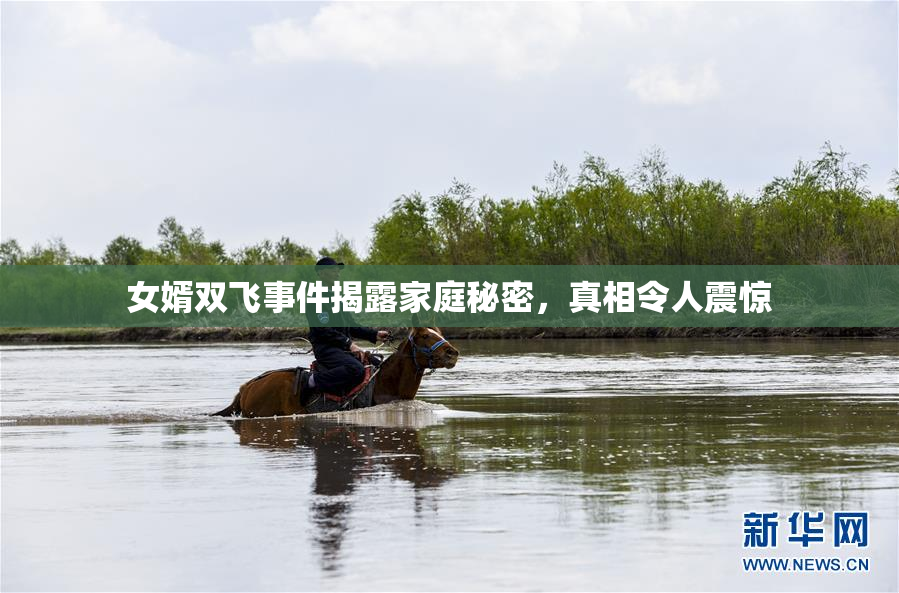 女婿双飞事件揭露家庭秘密，真相令人震惊