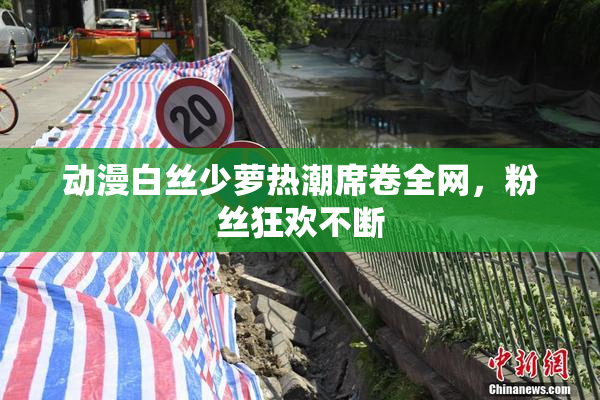 动漫白丝少萝热潮席卷全网，粉丝狂欢不断