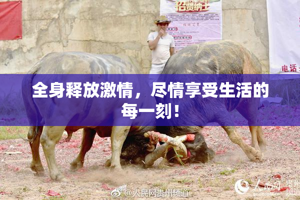 全身释放激情，尽情享受生活的每一刻！