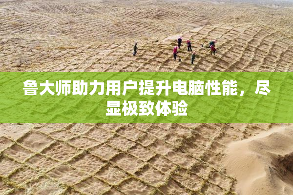 鲁大师助力用户提升电脑性能，尽显极致体验