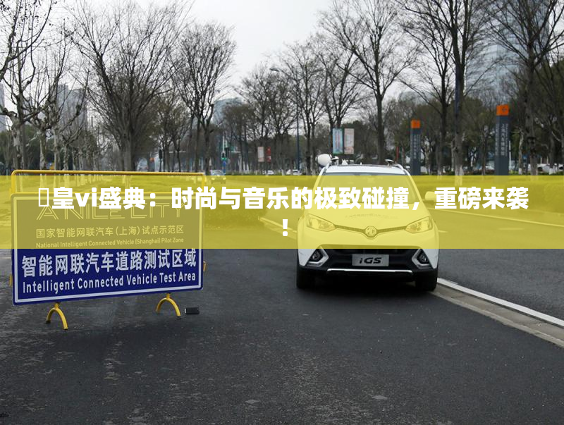 嘼皇vi盛典：时尚与音乐的极致碰撞，重磅来袭！