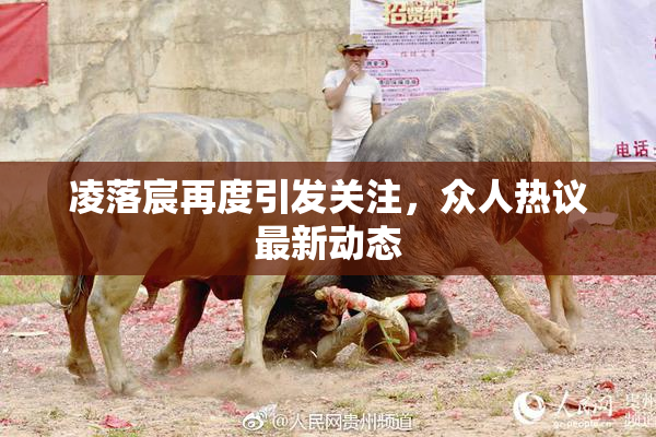 凌落宸再度引发关注，众人热议最新动态