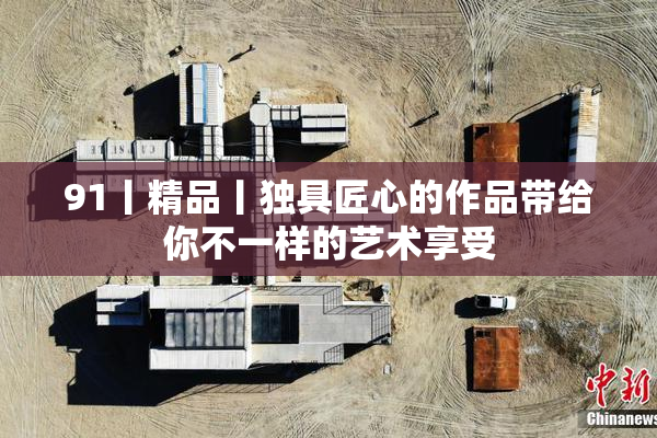 91丨精品丨独具匠心的作品带给你不一样的艺术享受