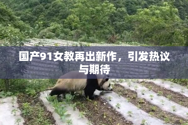 国产91女教再出新作，引发热议与期待