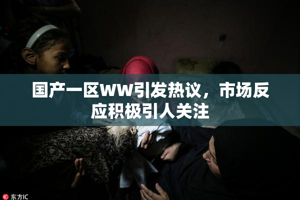 国产一区WW引发热议，市场反应积极引人关注
