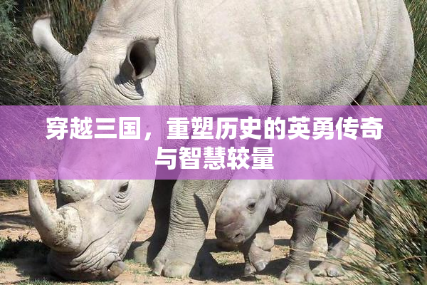 穿越三国，重塑历史的英勇传奇与智慧较量