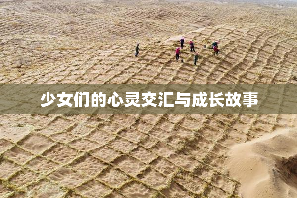 少女们的心灵交汇与成长故事
