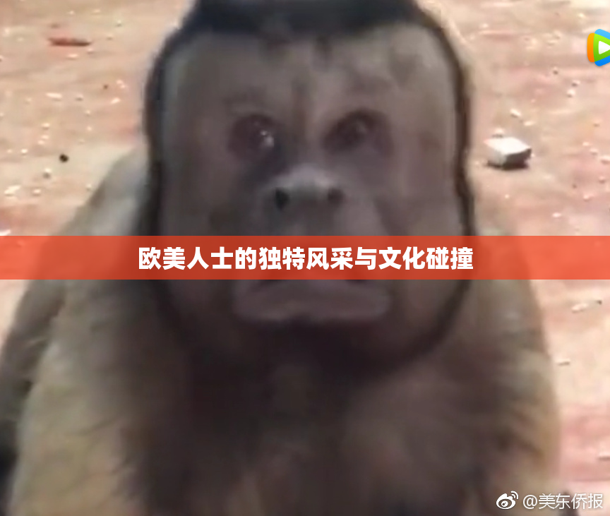 欧美人士的独特风采与文化碰撞