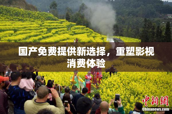 国产免费提供新选择，重塑影视消费体验