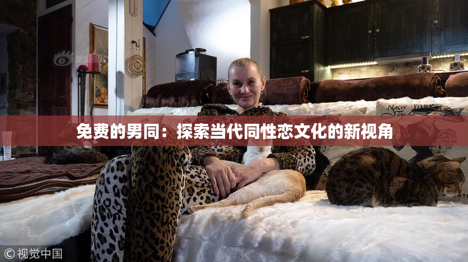 免费的男同：探索当代同性恋文化的新视角